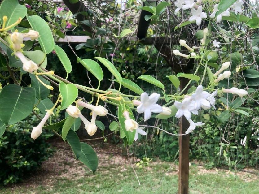 Villa Florentine - Saint Francois - Guadeloupe 外观 照片